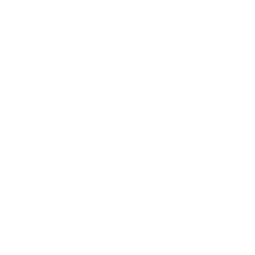 Fiscal